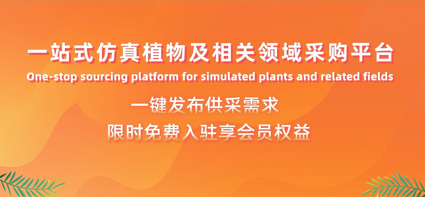 大图1