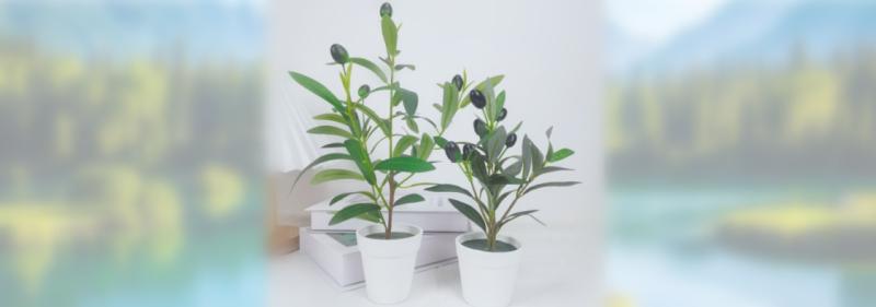 惠东县裕丰丝花厂