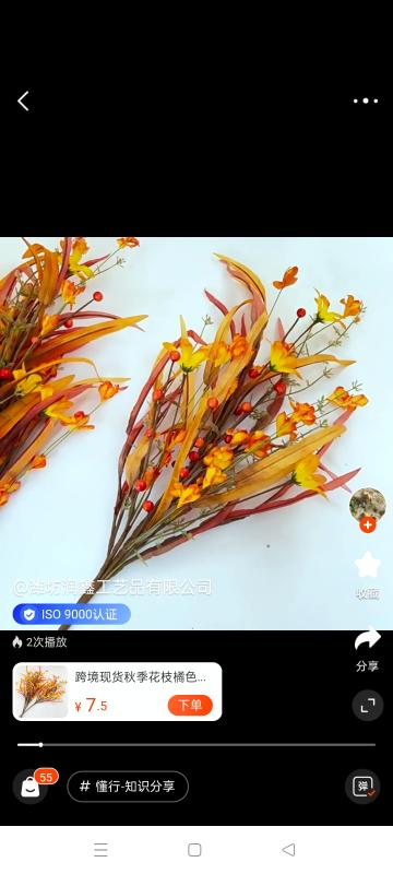 山东省安丘市祥辉工艺品厂