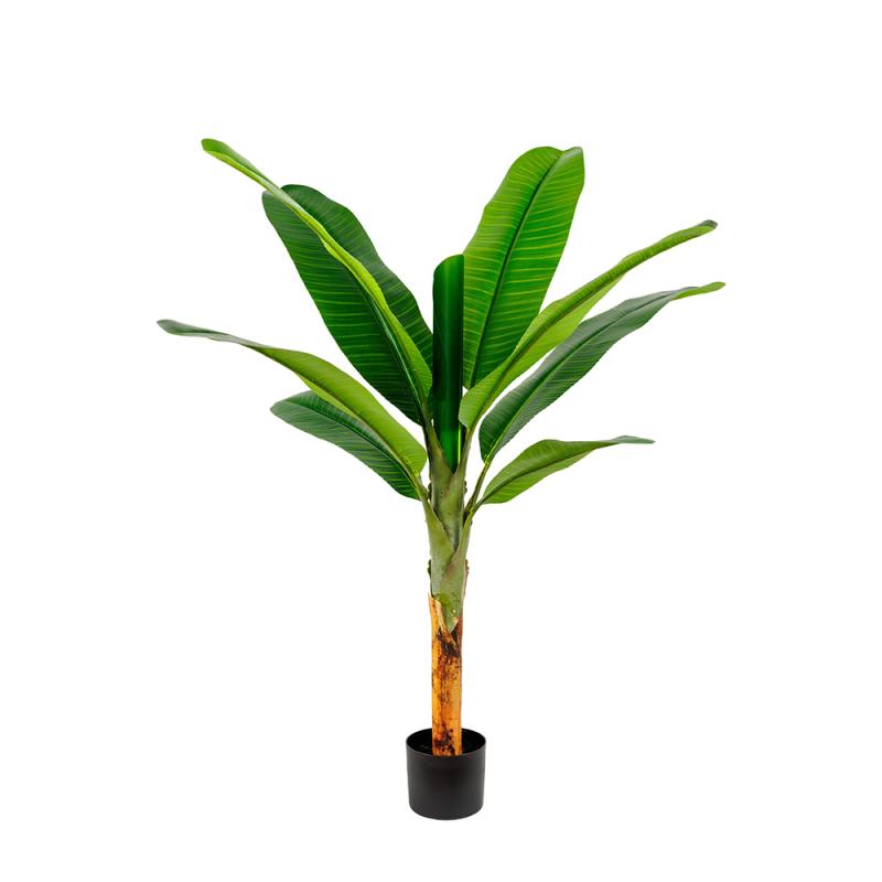 HDJ-150-9 150CM单杆皇帝蕉-9叶连心