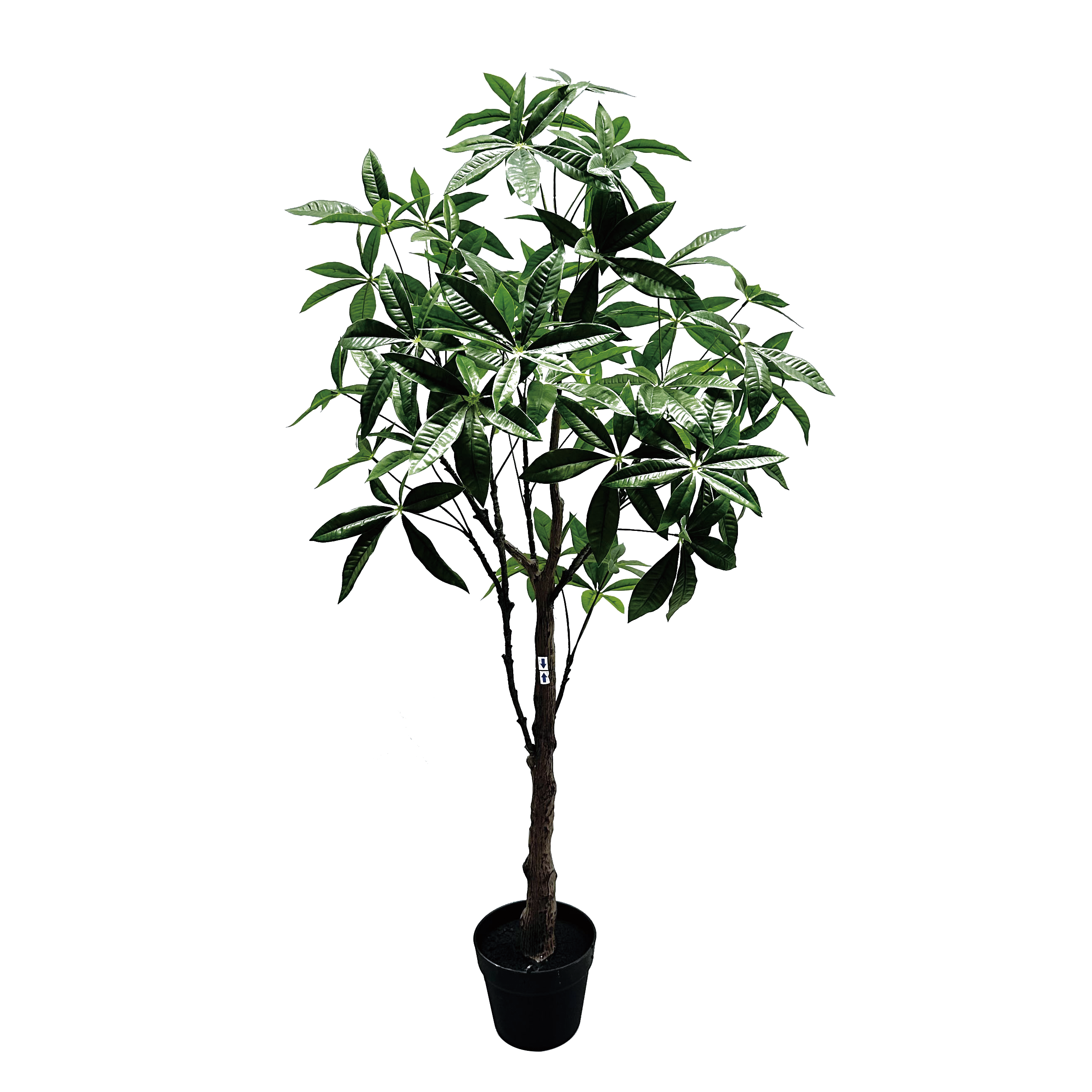 150CM(WDAL-FCS-1504)