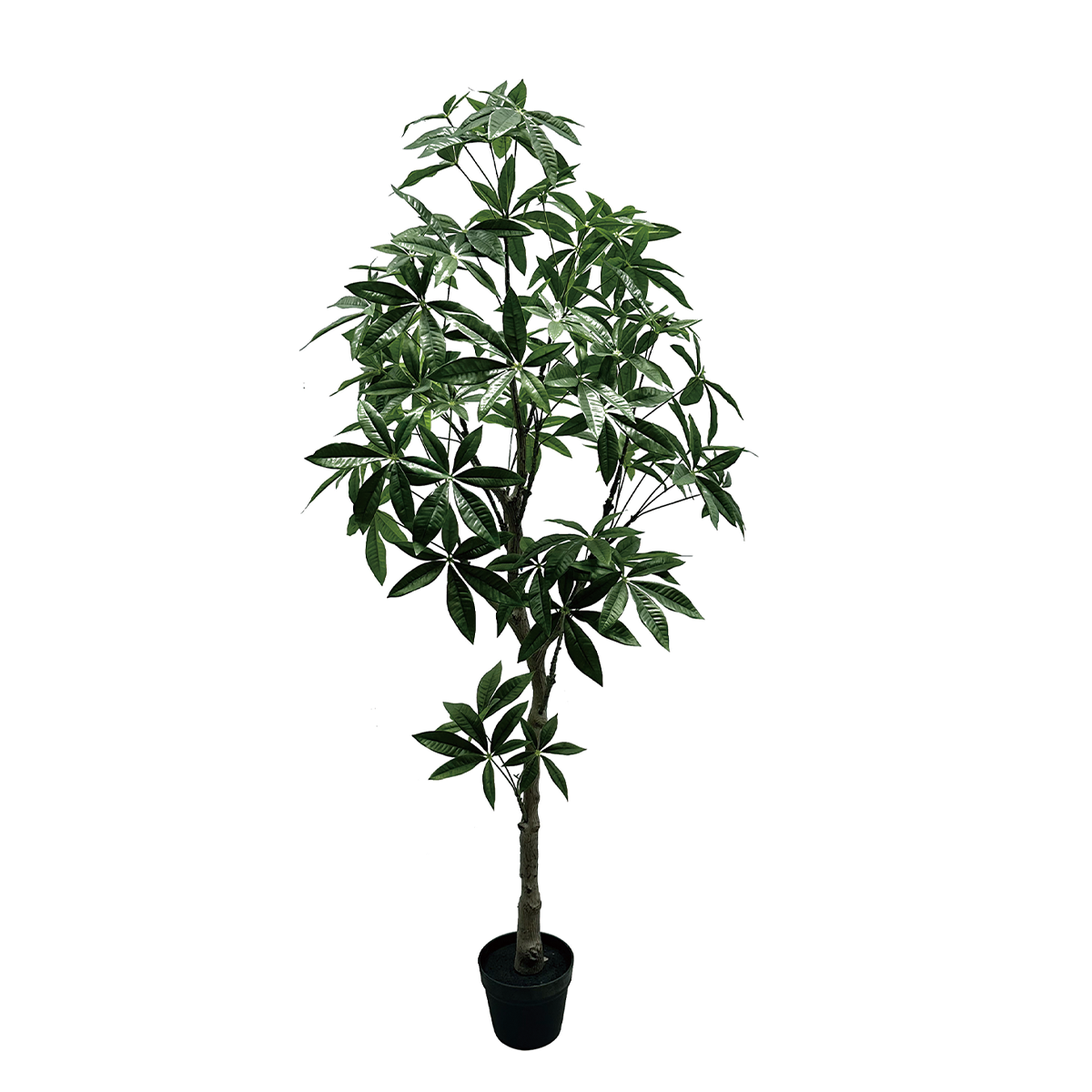 180CM(WDAL-FCS-1806)