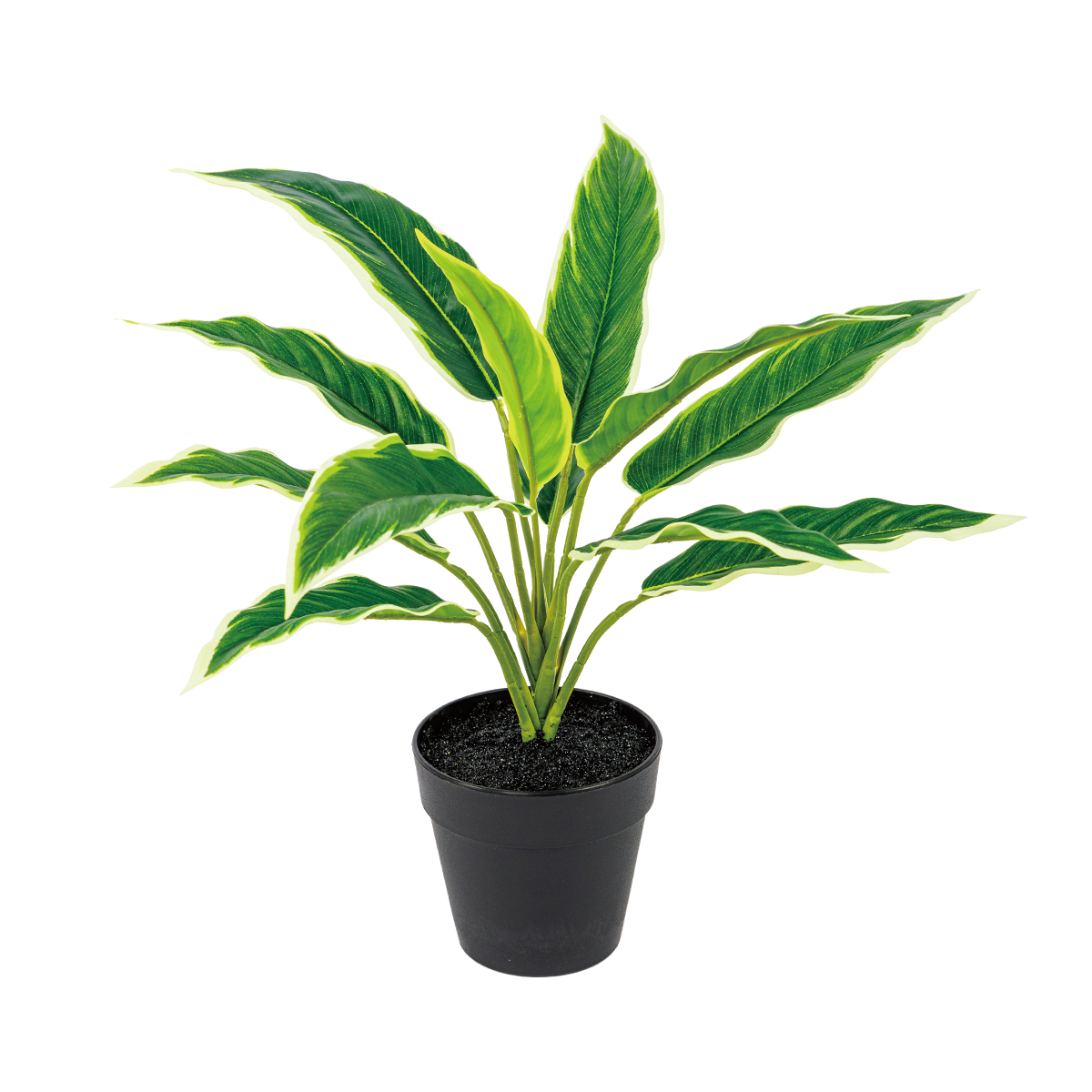 40CM(WDLR-WNQ-4019W)