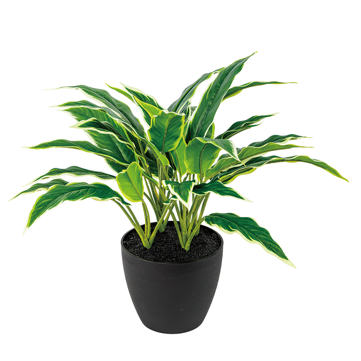 45CM(WDLR-WNQ-4015W)