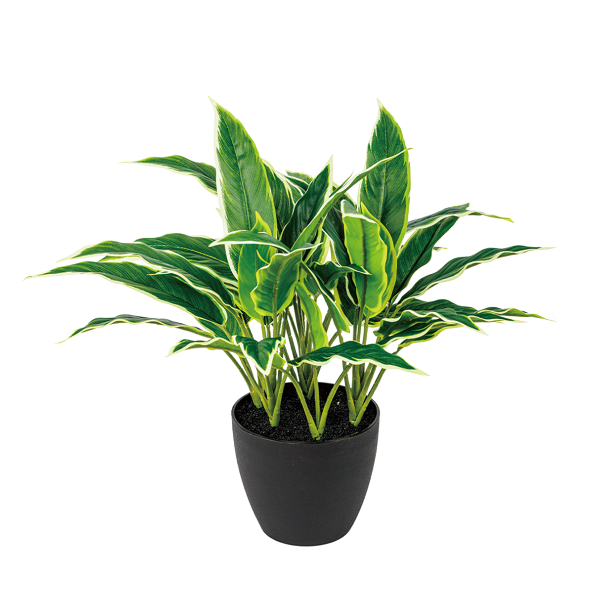 70CM(WDLR-WNQ-7036W)