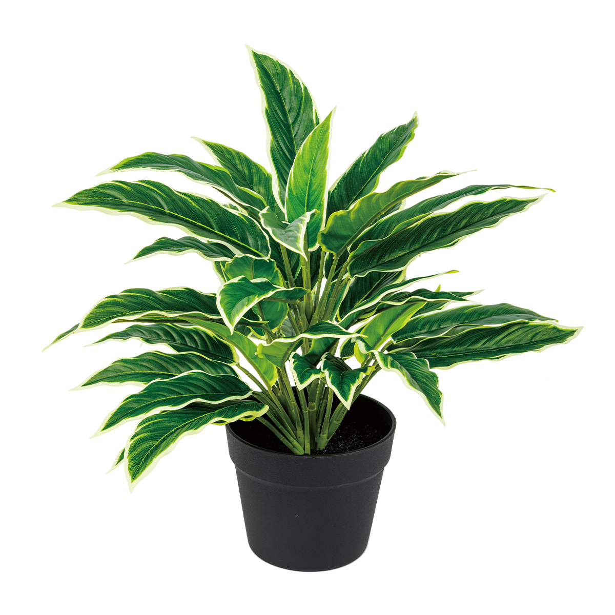 45CM(WDLR-WNQ-4537W)