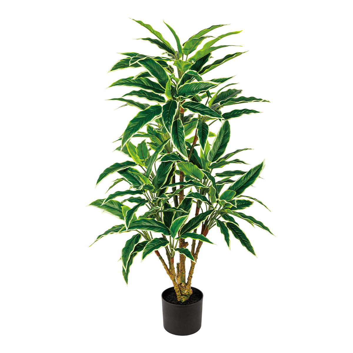 115CM(WDLR-WNQ-115135W)