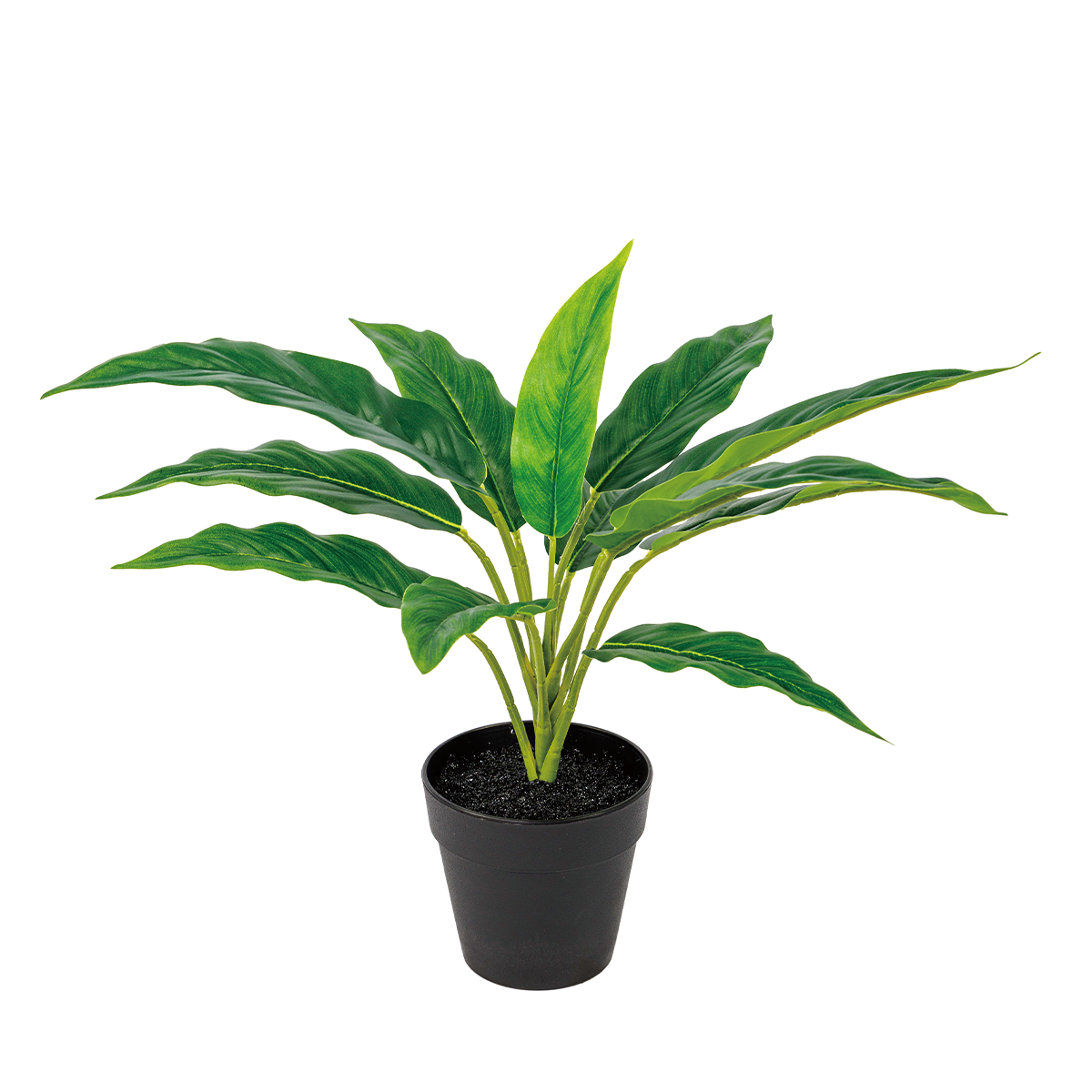 100CM(WDLR-WNQ-10058G)