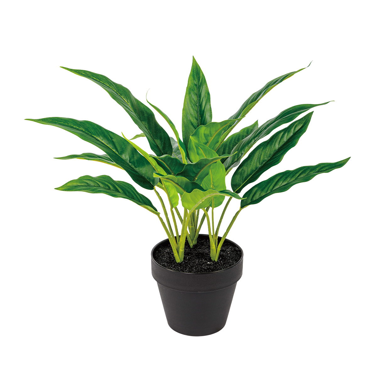 70CM(WDLR-WNQ-7036G)