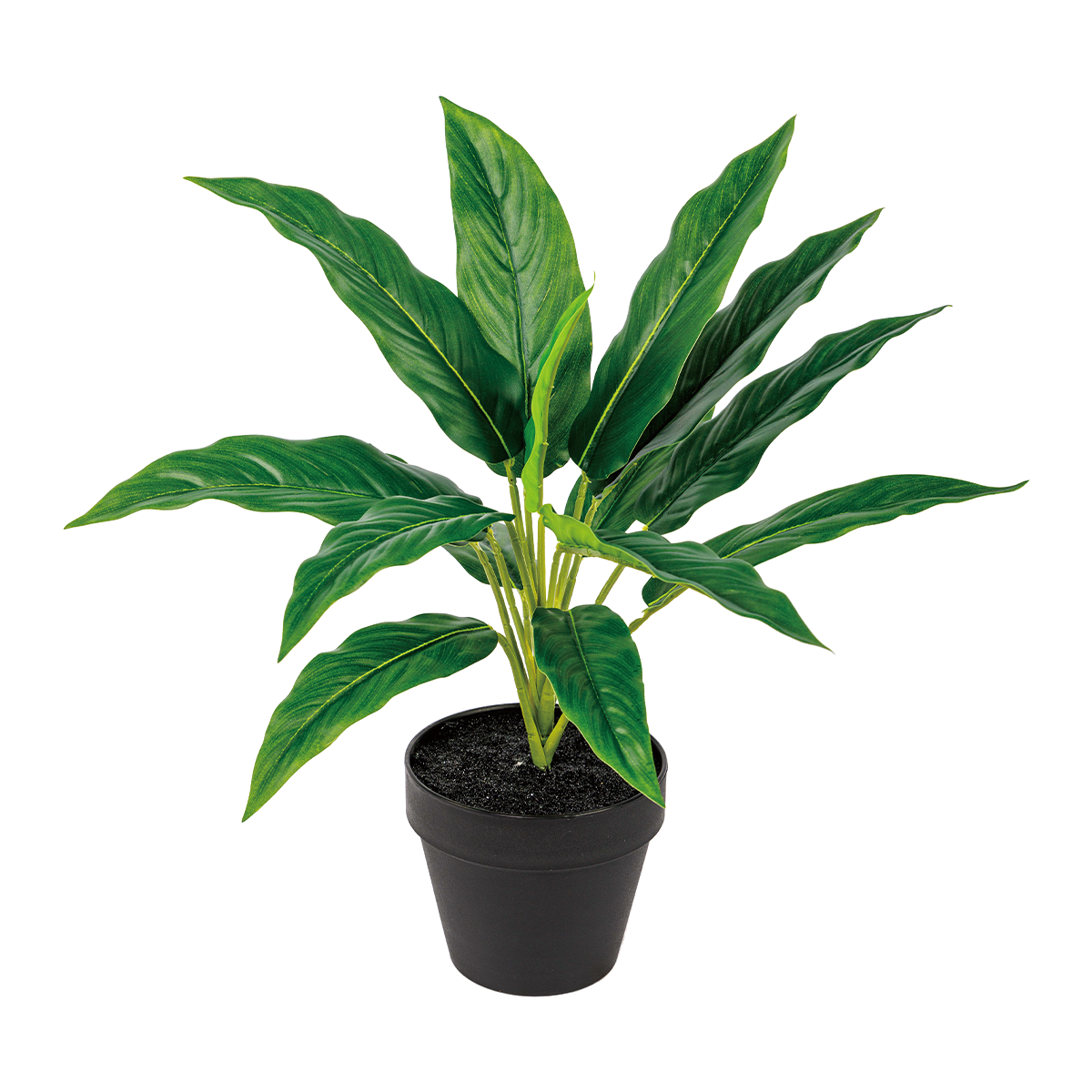 120CM(WDLR-WNQ-12086G)