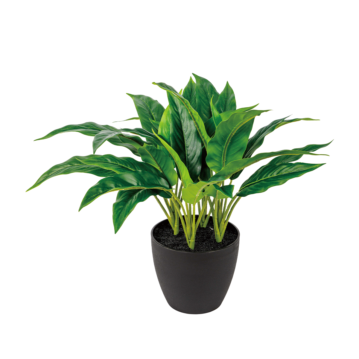 50CM(WDLR-WNQ-5044G)