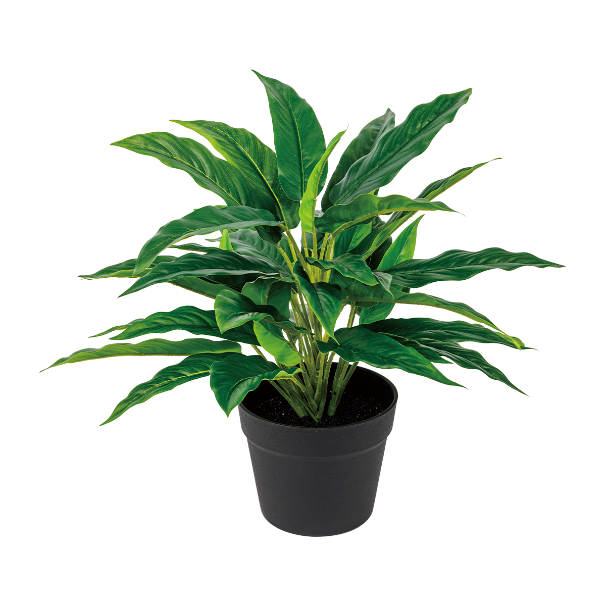 115CM(WDLR-WNQ-115135G)