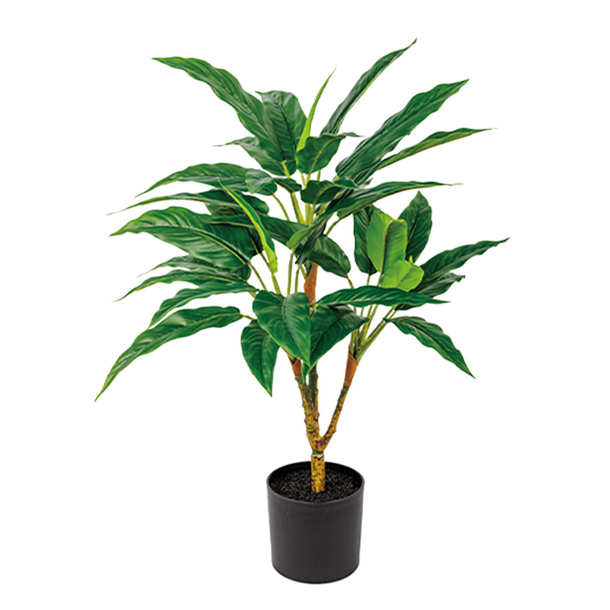 50CM(WDLR-WNQ-5043G)