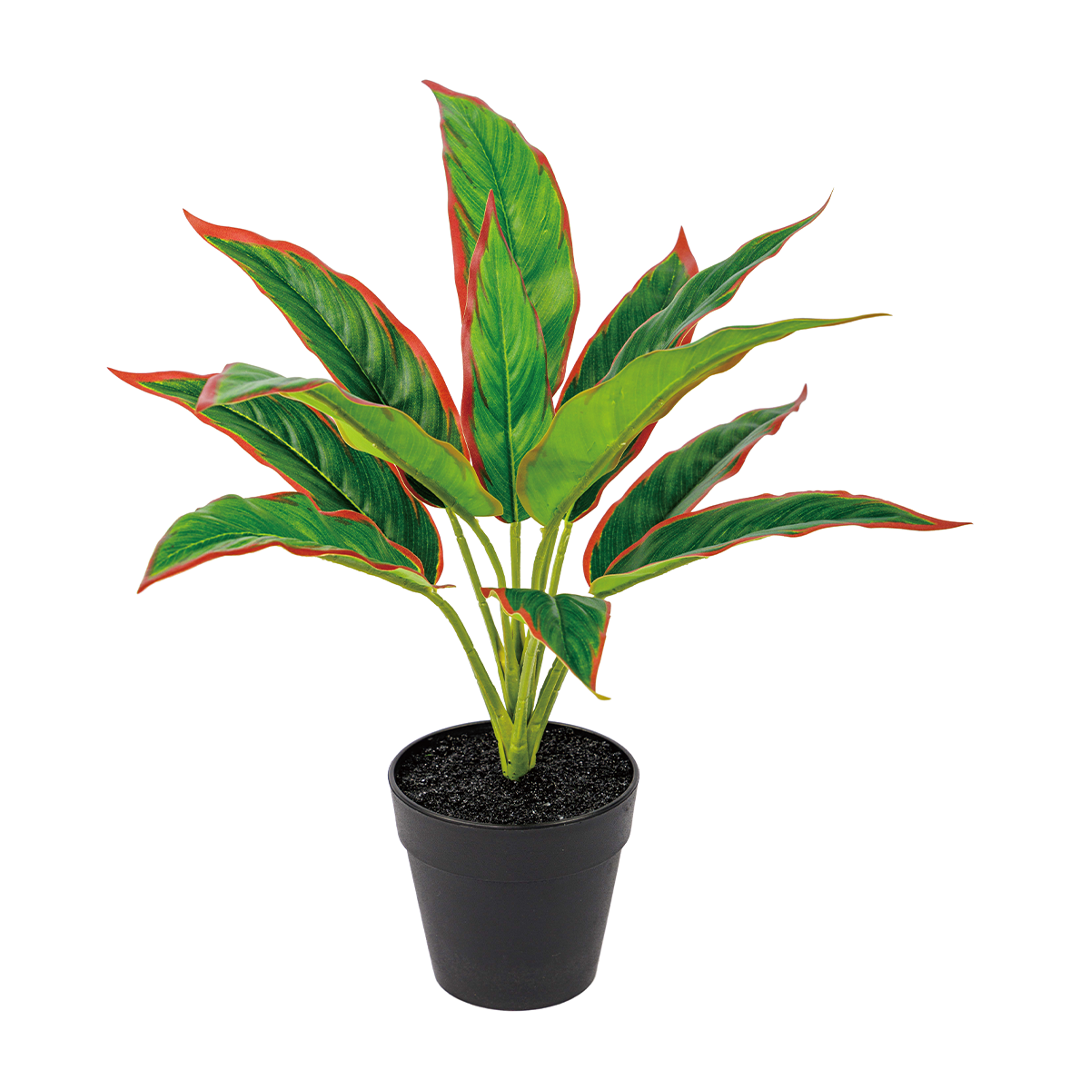 120CM(WDLR-WNQ-12086R)