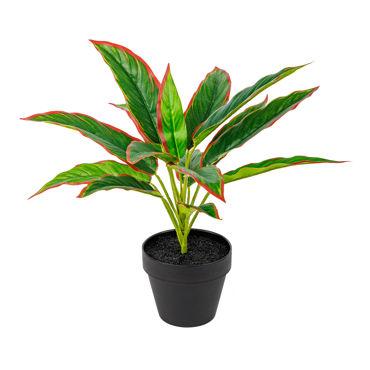 45CM(WDLR-WNQ-4537R)