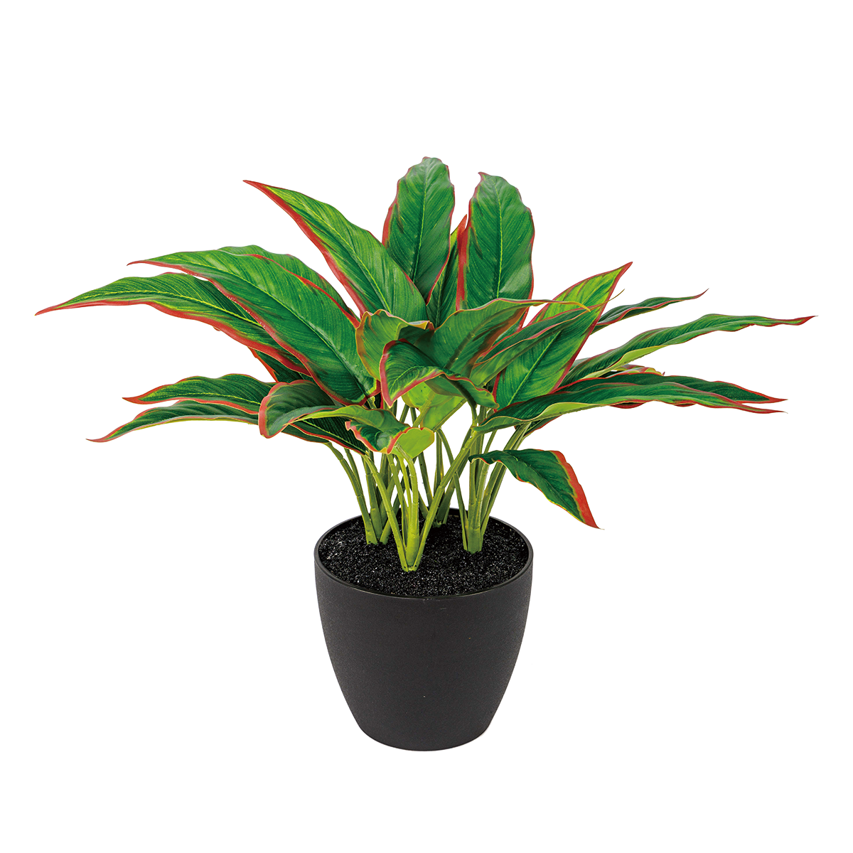 40CM(WDLR-WNQ-4012R)