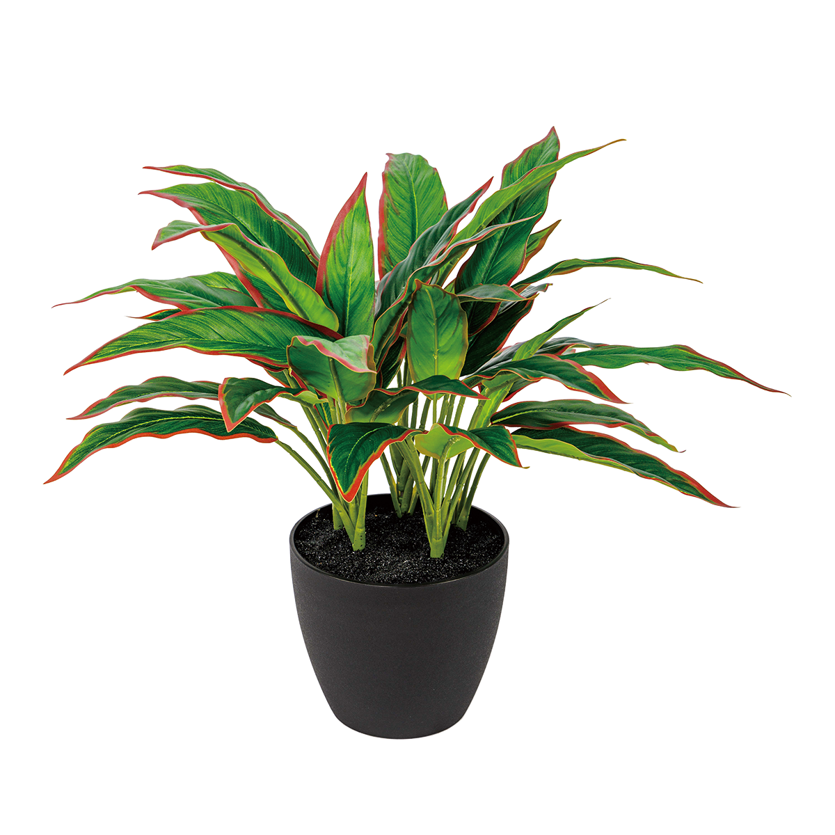 45CM(WDLR-WNQ-4532R)