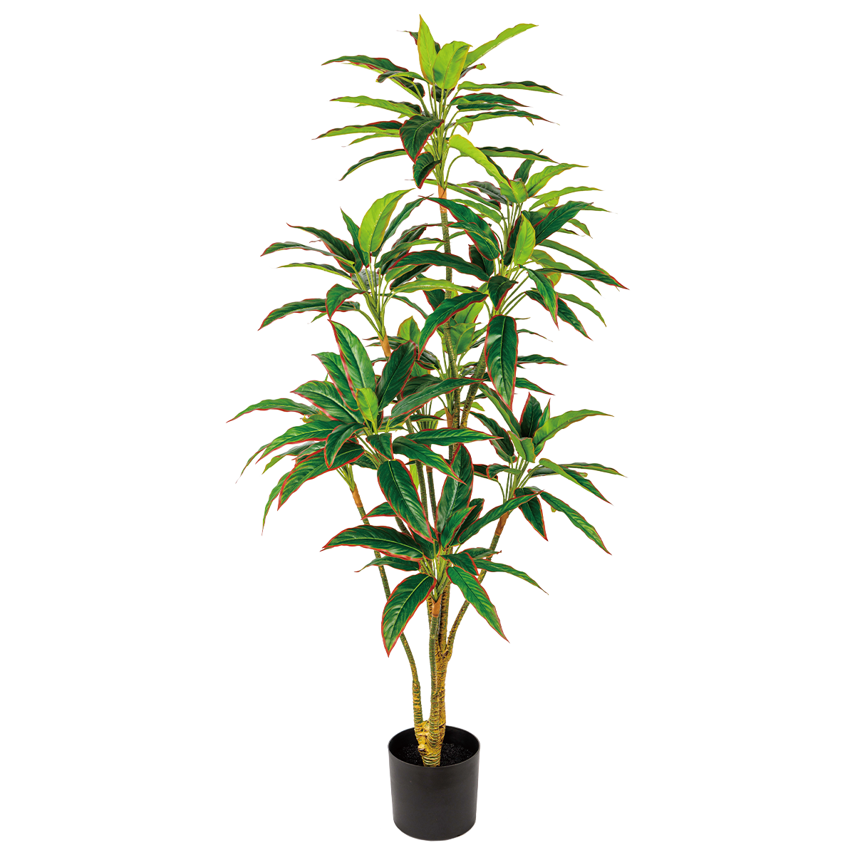 50CM(WDLR-WNQ-5044R)