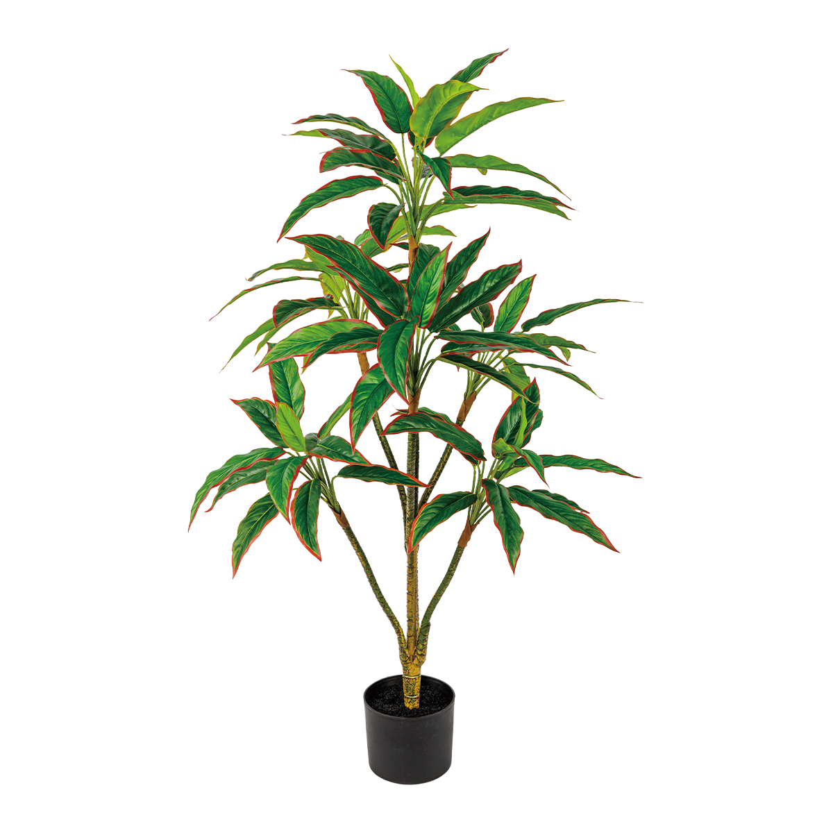 70CM(WDLR-WNQ-7036R)