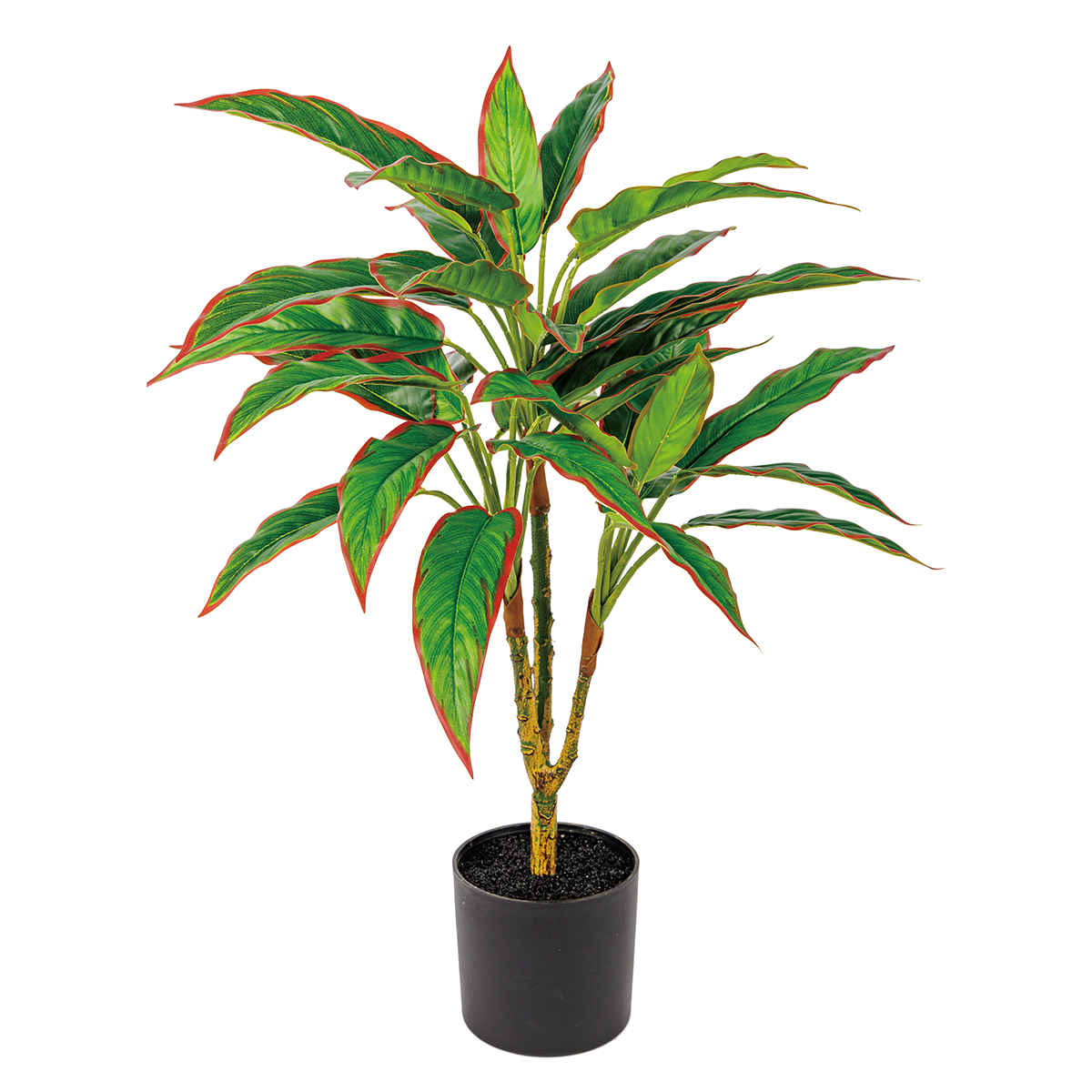 45CM(WDLR-WNQ-4515R)