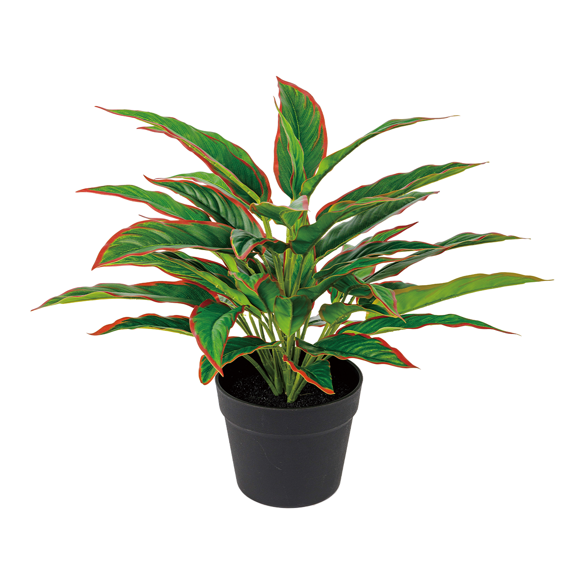 40CM(WDLR-WNQ-4019R)