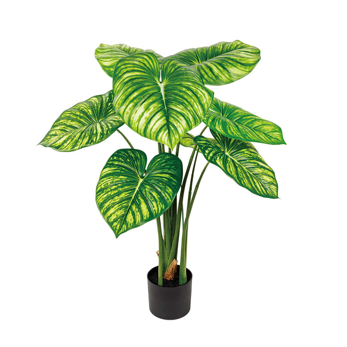 130CM(WDLR-BMY-1305W)