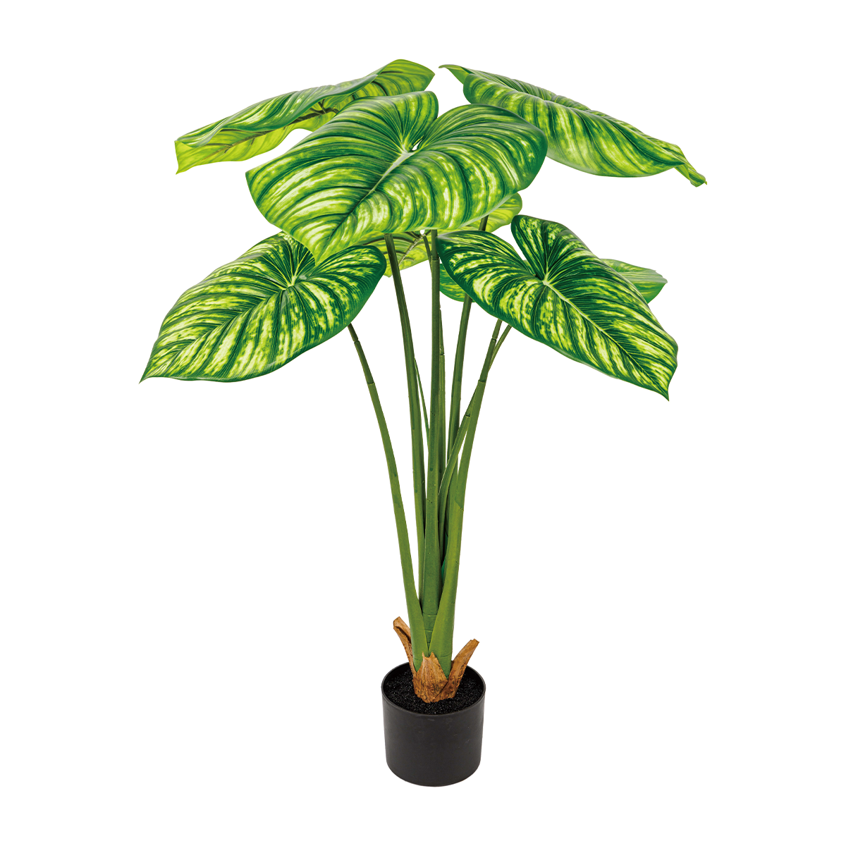 190CM(WDLR-BMY-19019W)