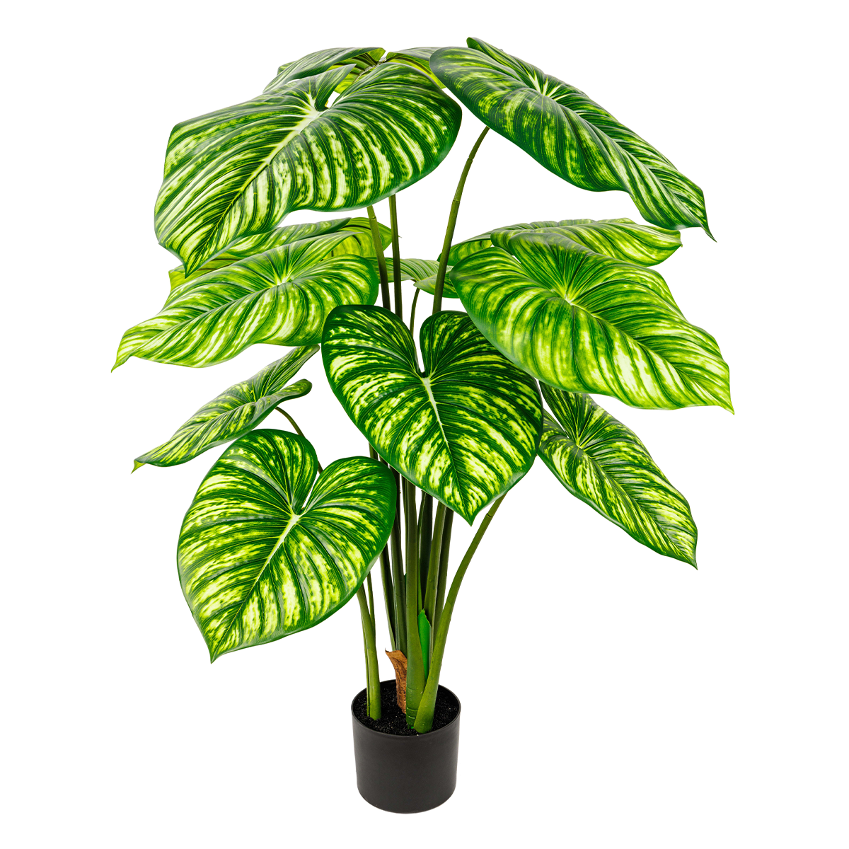 125CM(WDLR-BMY-1257W)