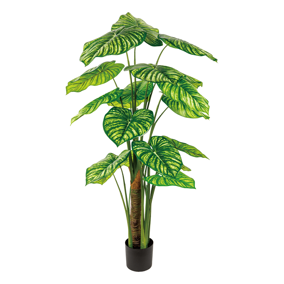 140CM(WDLR-BMY-14012W)