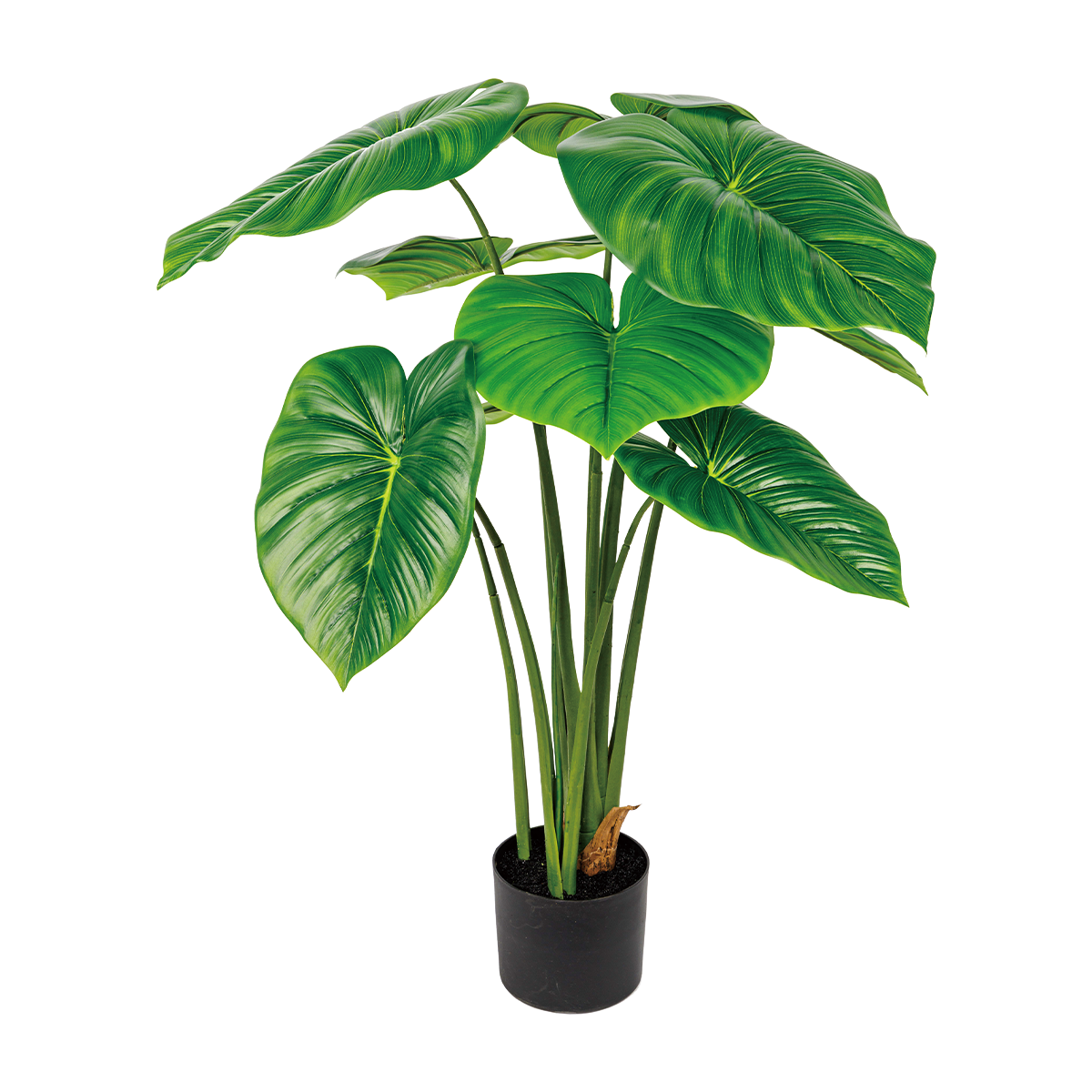 120CM(WDLR-LMY-1209G)