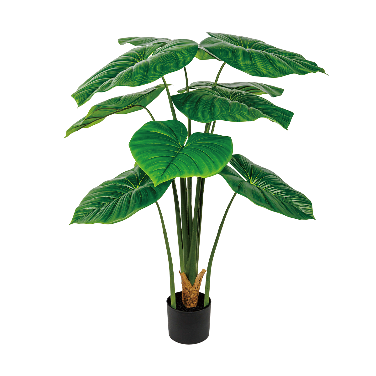 160CM(WDLR-LMY-1607G)