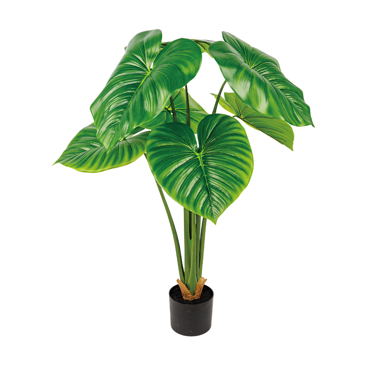 215CM(WDLR-LMY-21525G)