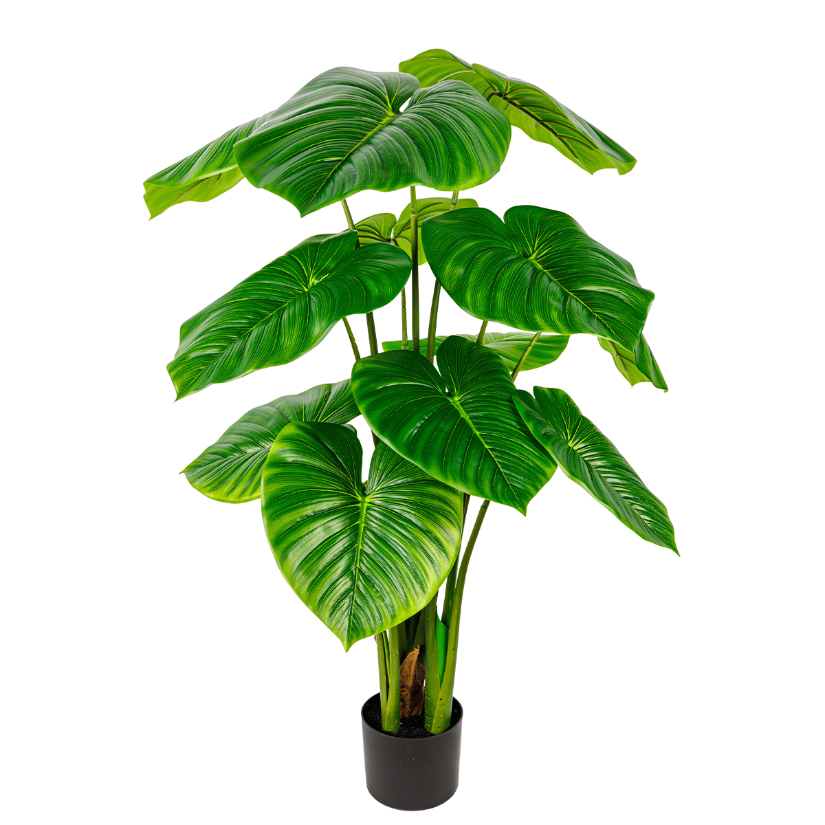 190CM(WDLR-LMY-19019G)