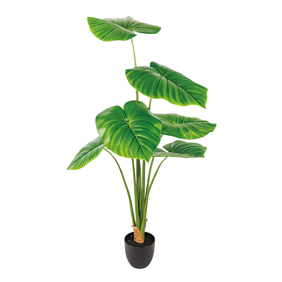 140CM(WDLR-LMY-14012G)