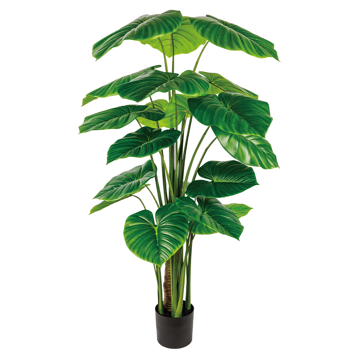 120CM(WDLR-LMY-12010G)