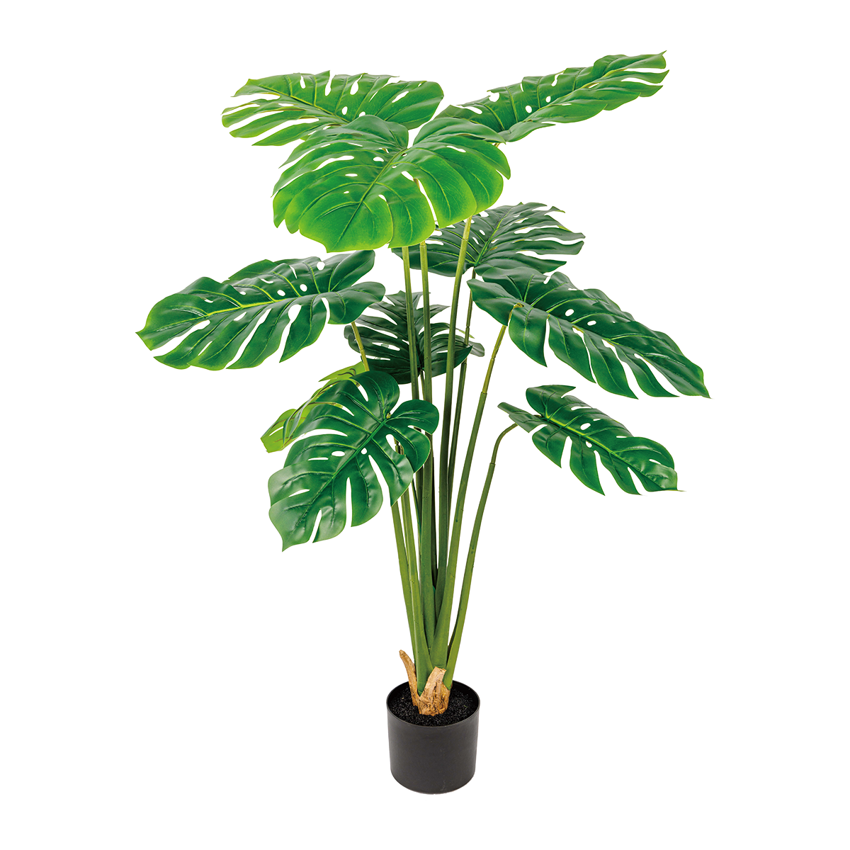 165CM(WDLR-GB-16515)