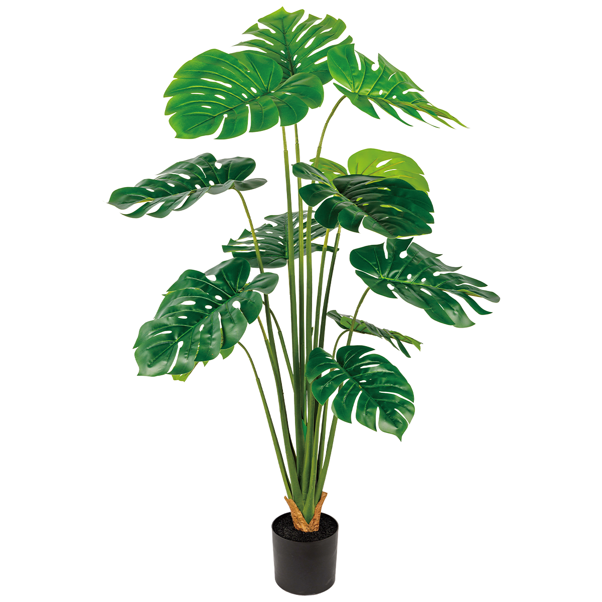 220CM(WDLR-GB-22025)