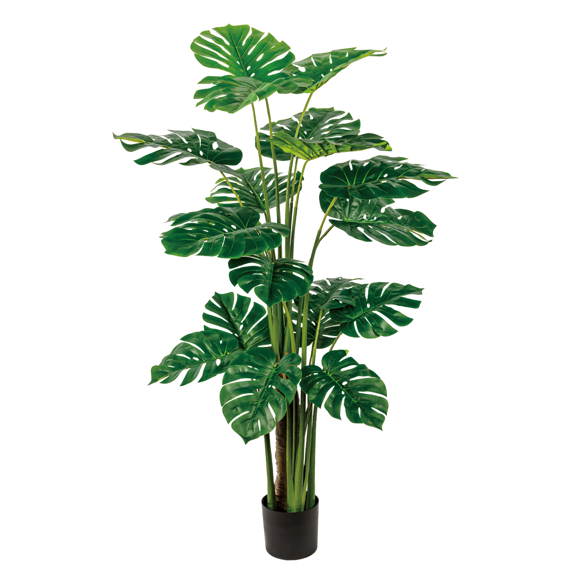 140CM(WDLR-GB-14010)