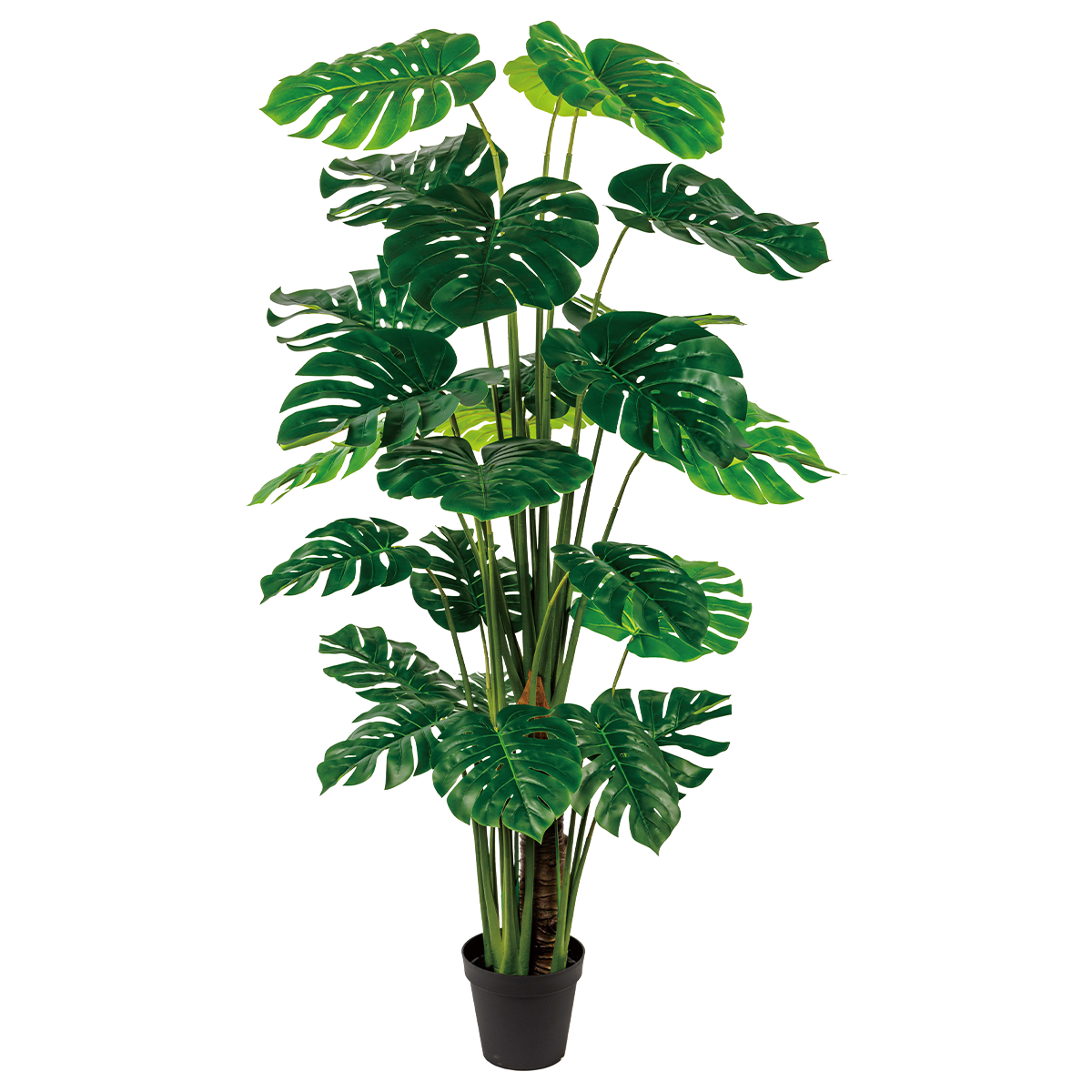 170CM(WDLR-GB-17013)