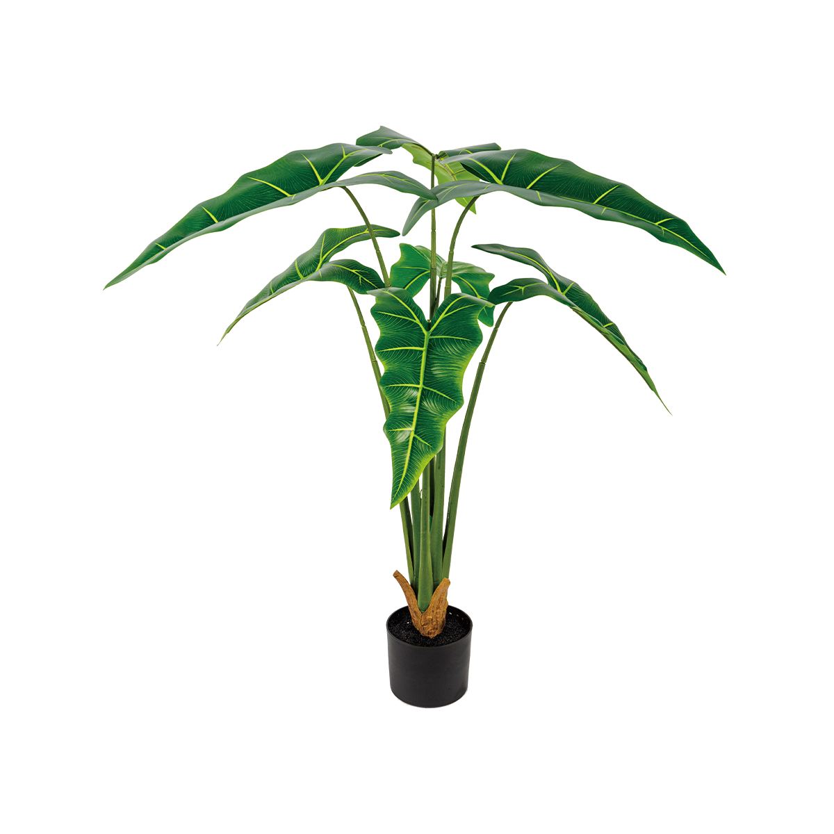 130CM(WDLR-HY-13010)