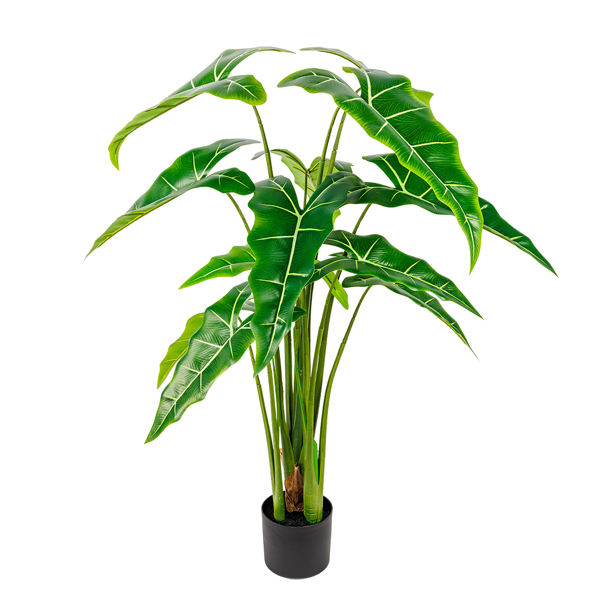 230CM(WDLR-HY-23025)