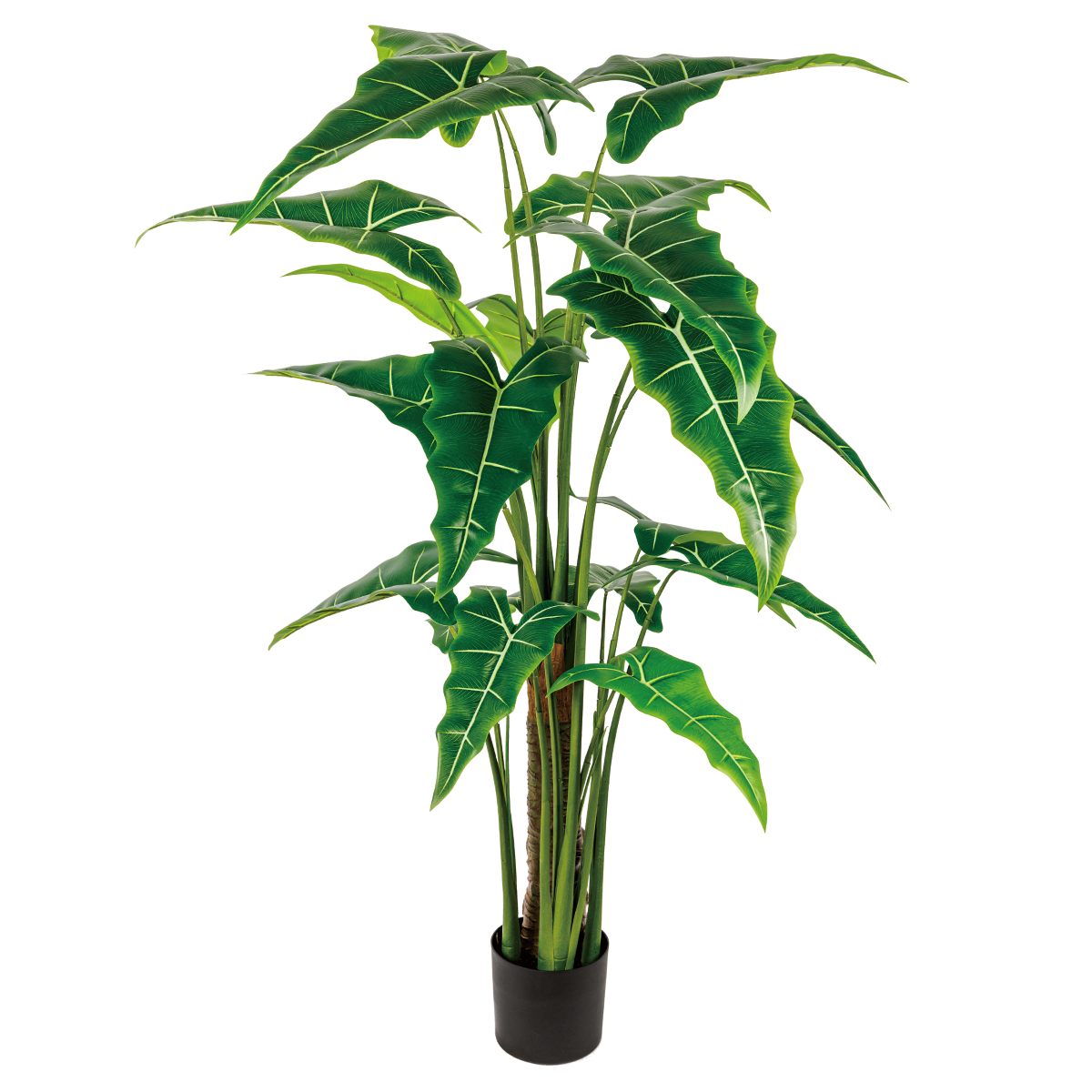 160CM(WDLR-HY-16010)