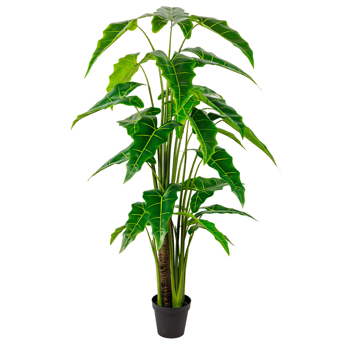 180CM(WDLR-HY-18015)