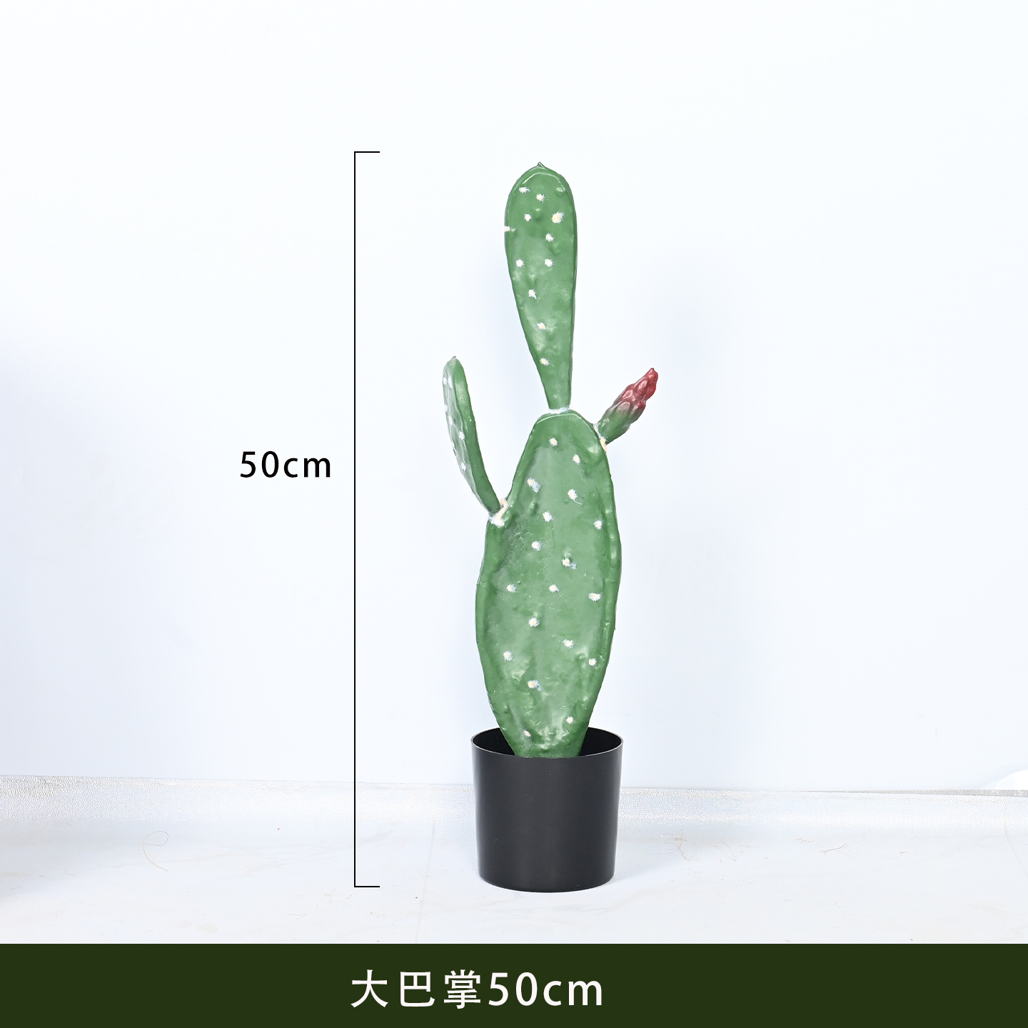 图片 5